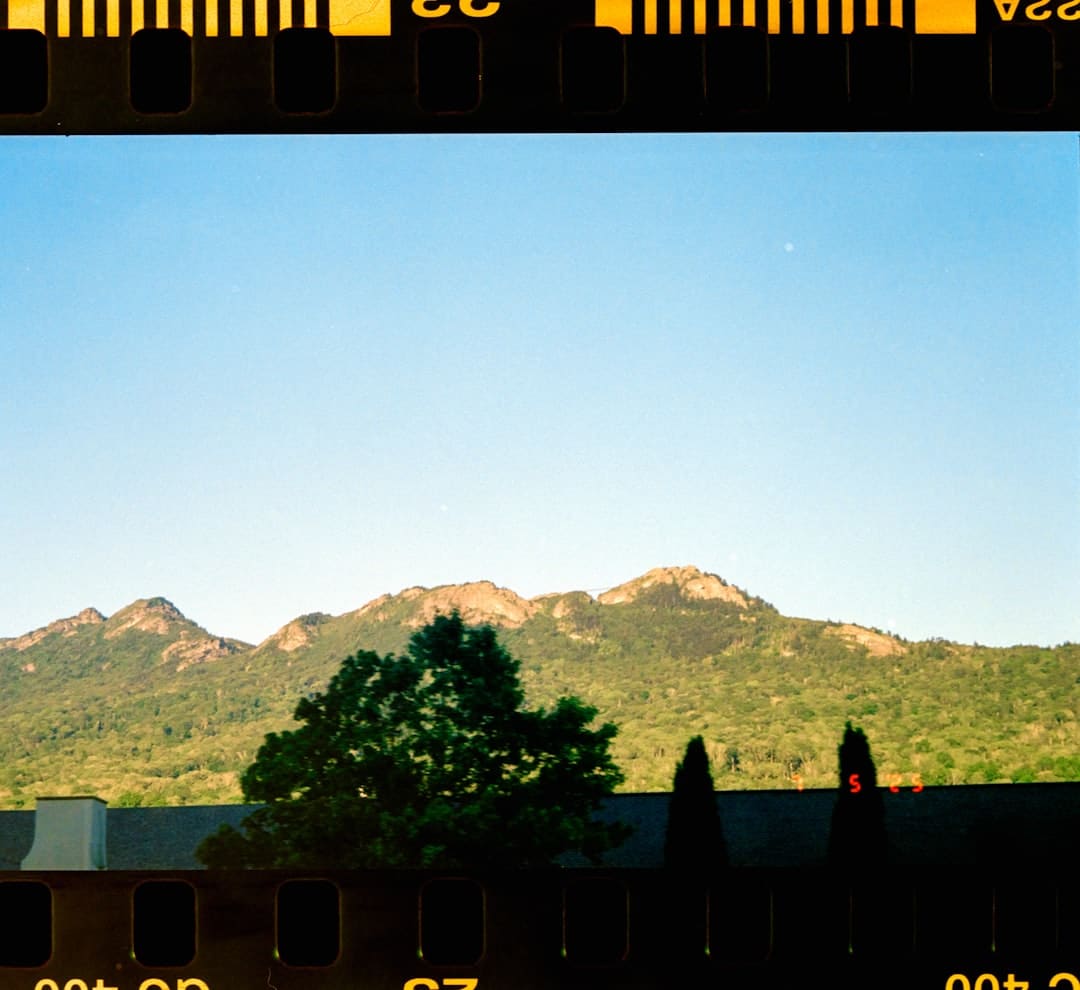 http://upload.mnw.cn/2025/0228/1740705719827.jpg